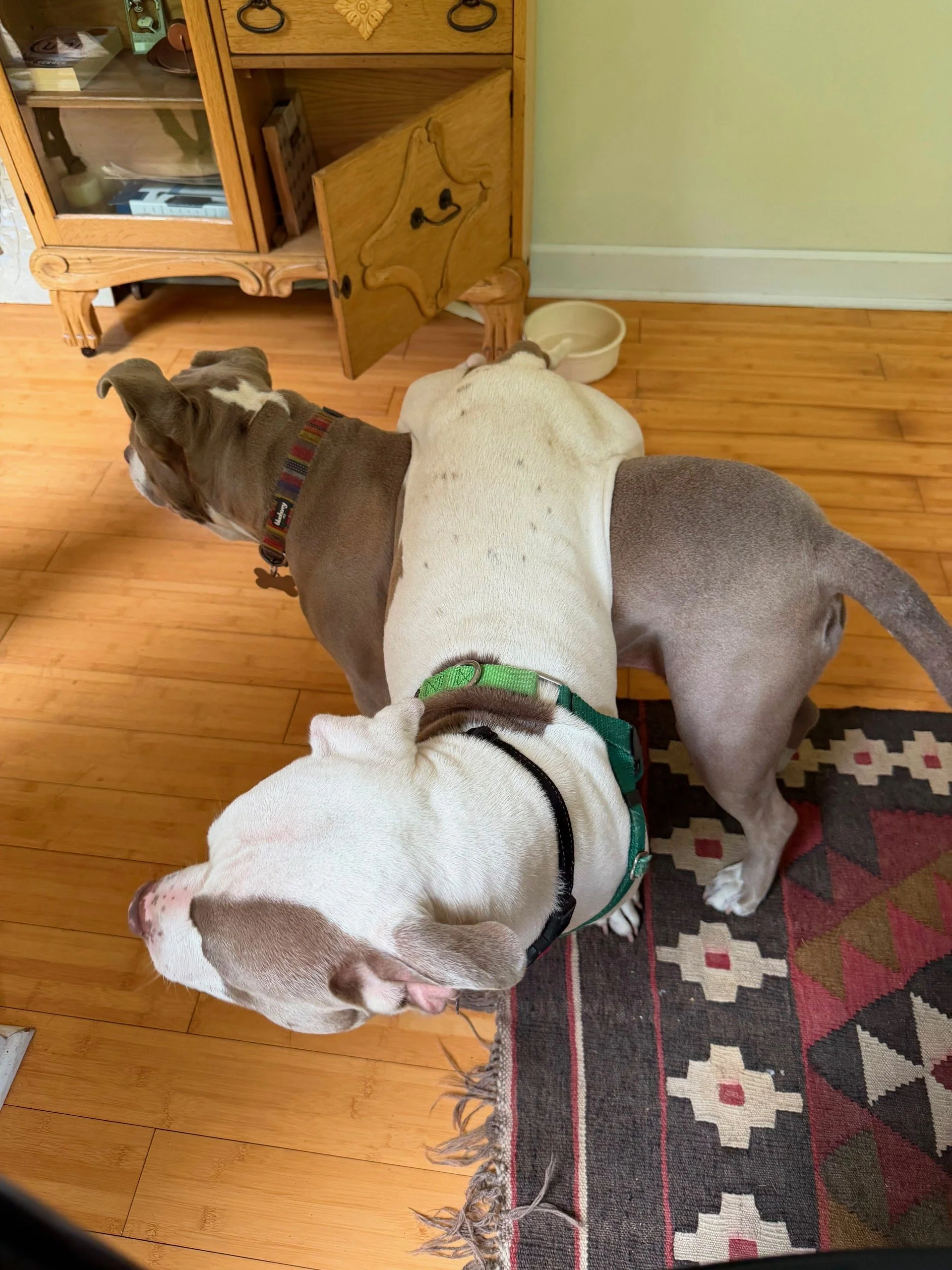 image12.jpeg