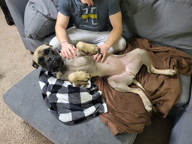 image2.jpeg