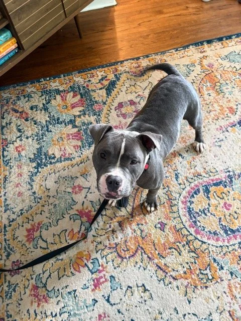 image1.jpeg