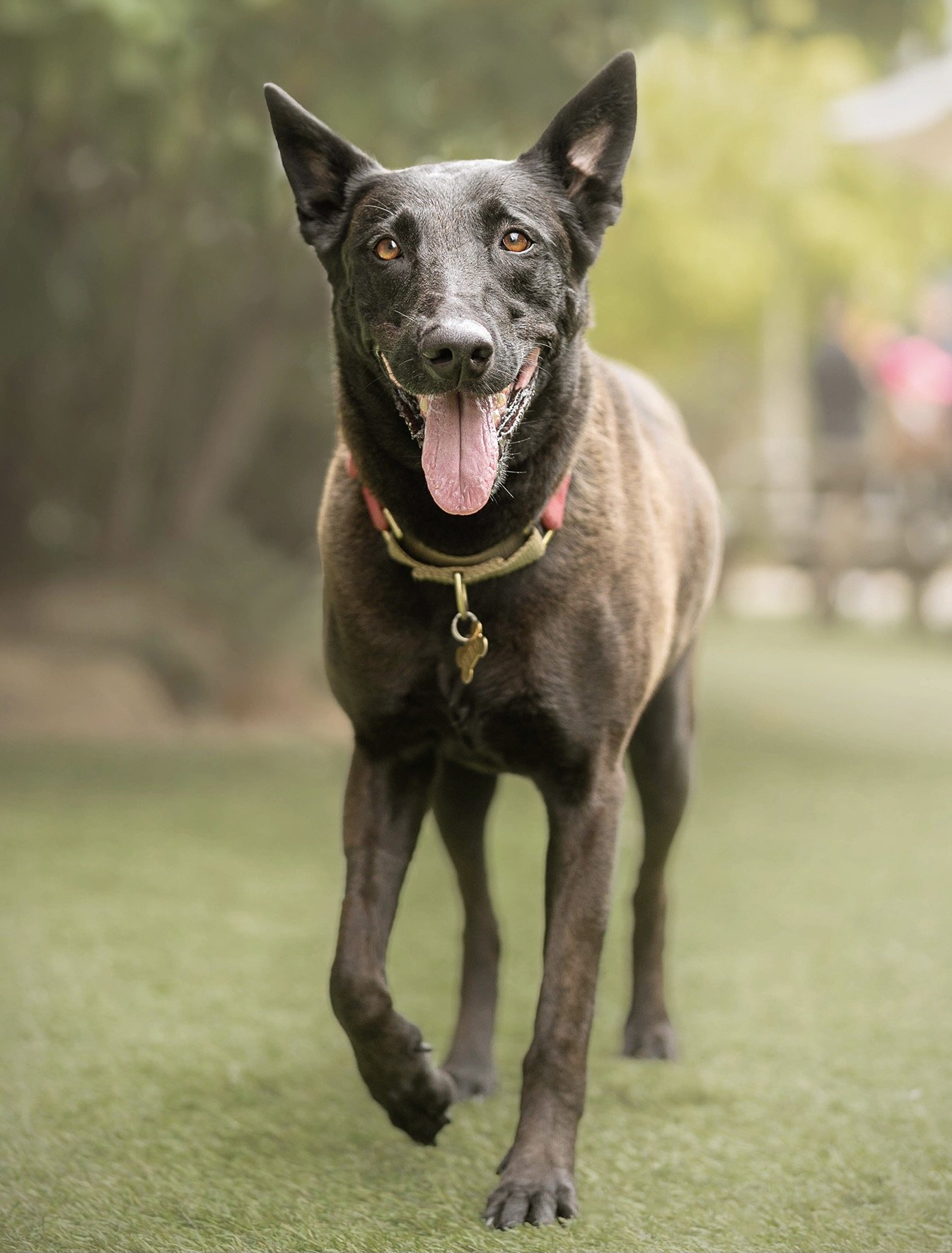 Frida New 5.JPG