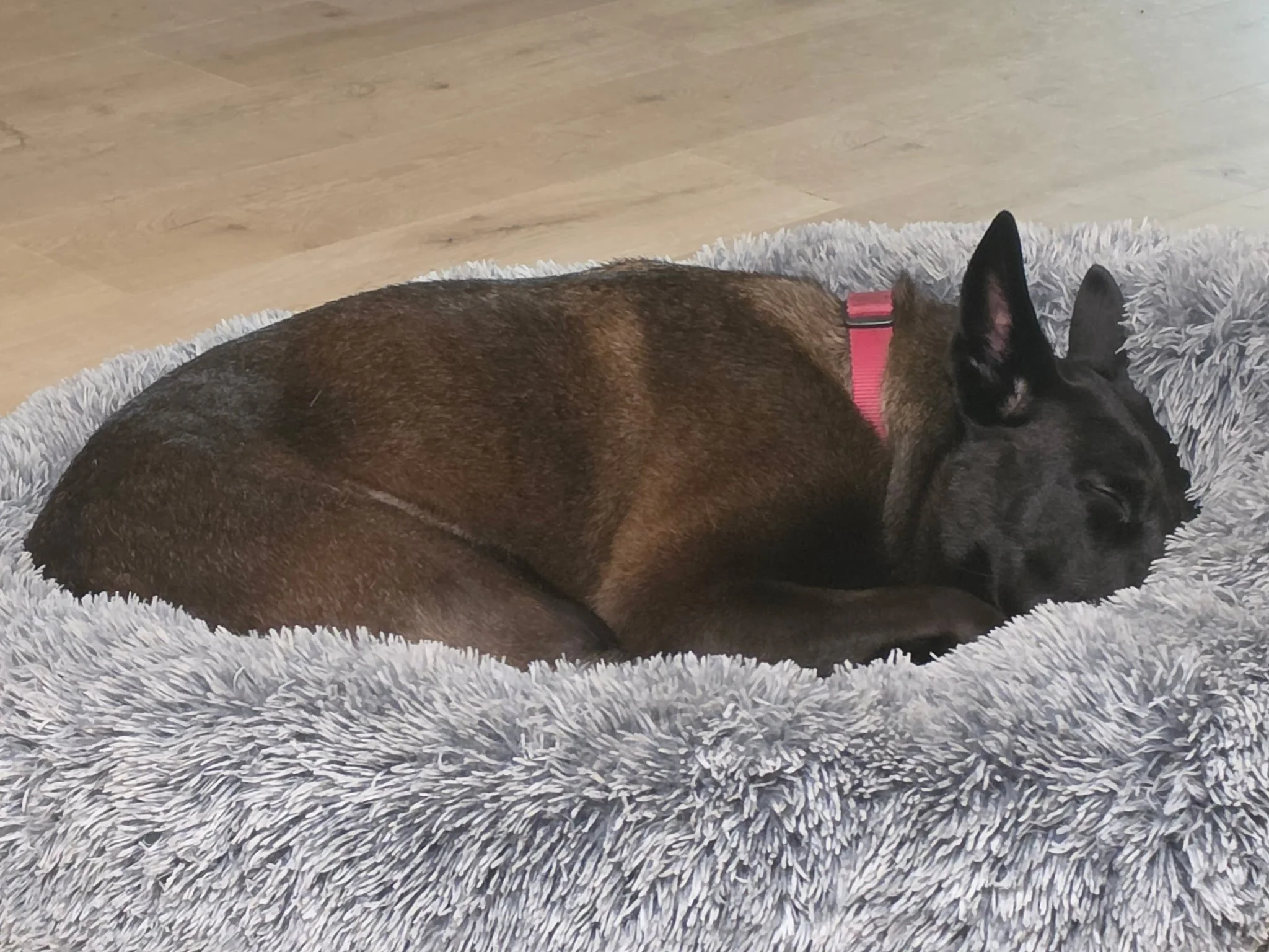 Frida New 14.jpg
