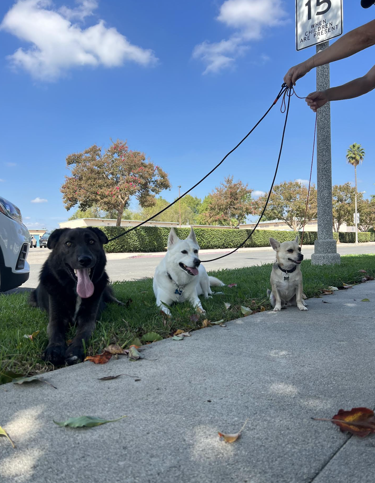 Screen Shot 2025-10-24 at 9.44.33 AM.png