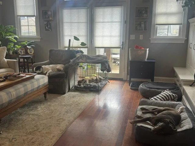 image7.jpeg