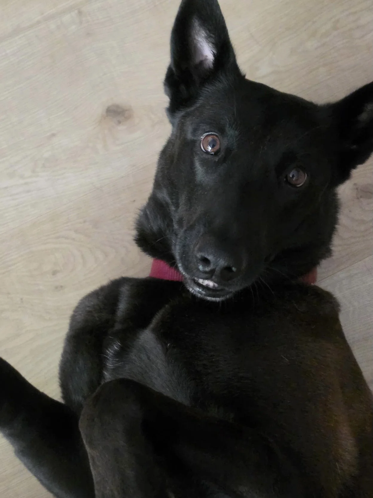 Frida New 12.jpg