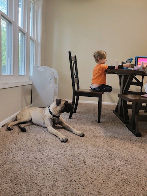 image3.jpeg