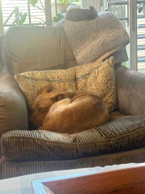 image2.jpeg