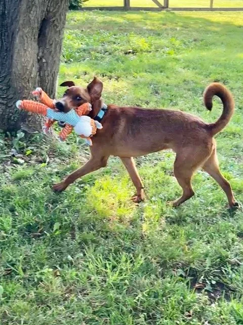 image3.jpeg