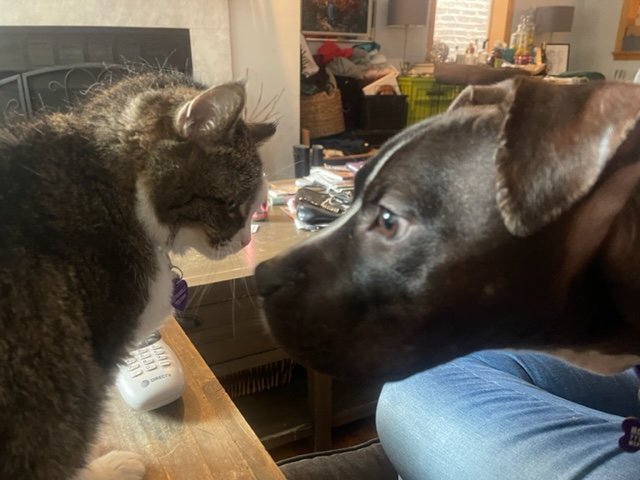 image12.jpeg