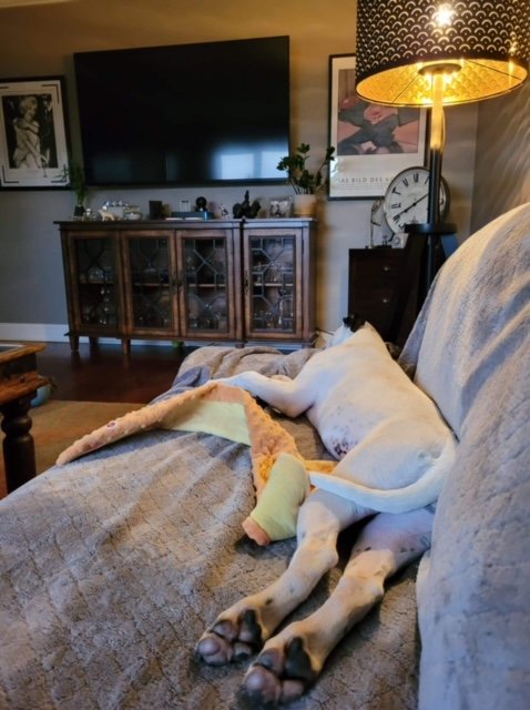image1.jpeg