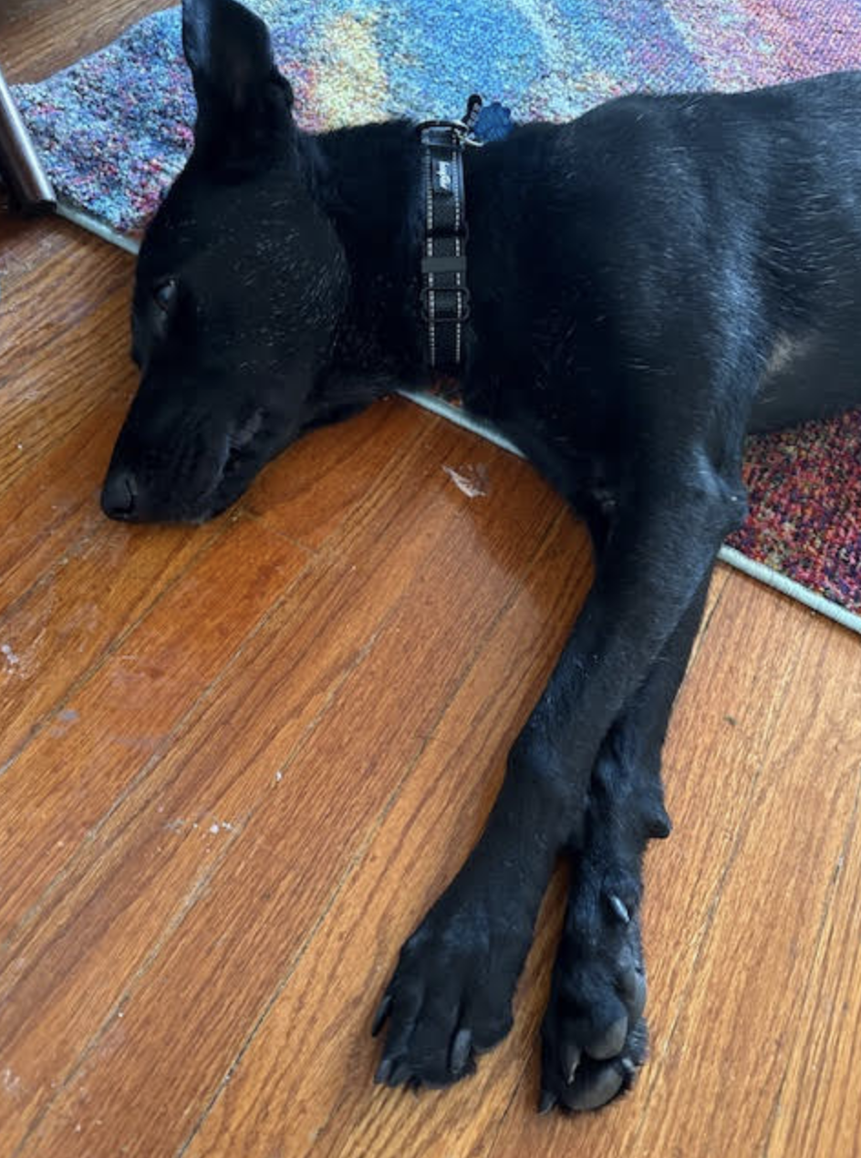 Screen Shot 2025-12-28 at 3.31.00 PM.png