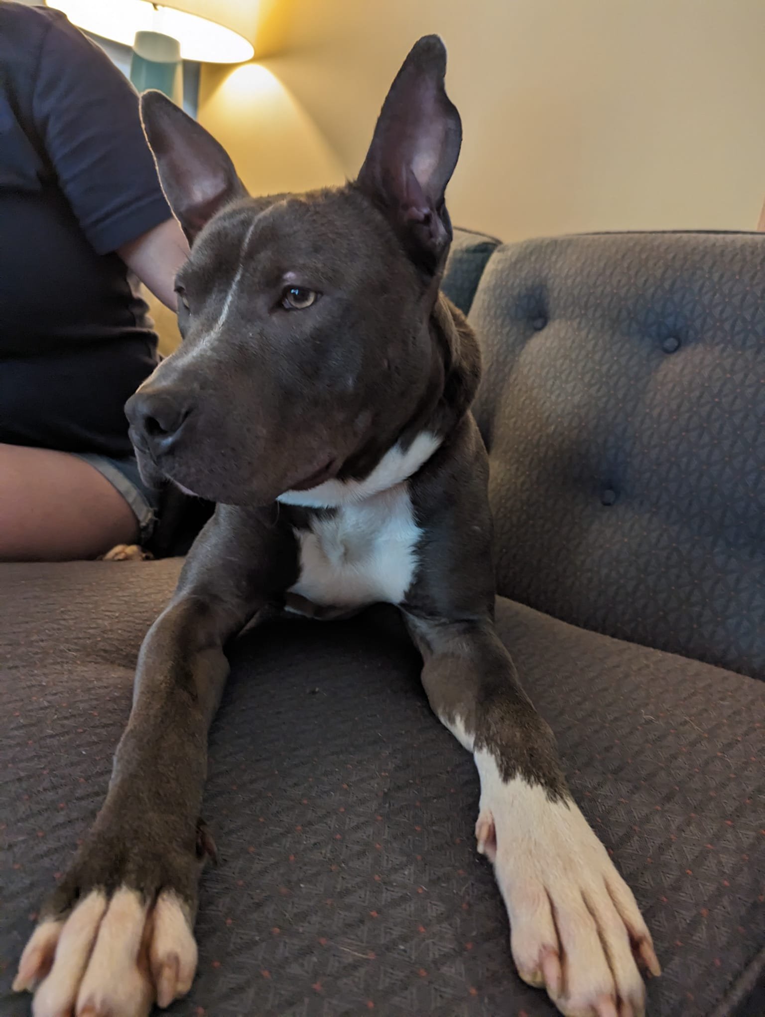 image1.jpeg