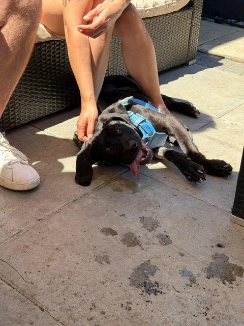 image9.jpeg