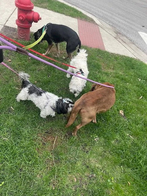 image6.jpeg