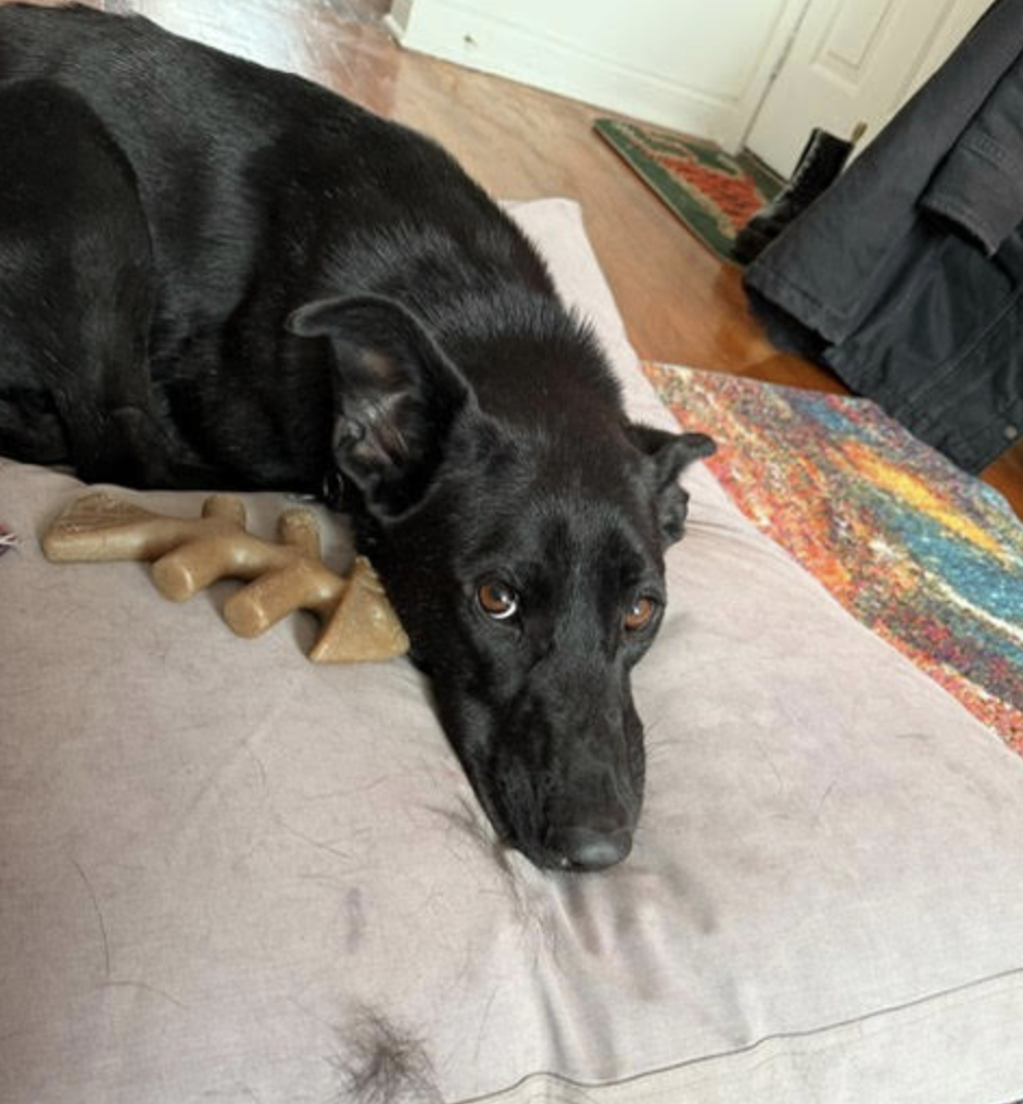 Screen Shot 2025-12-28 at 3.31.07 PM.png