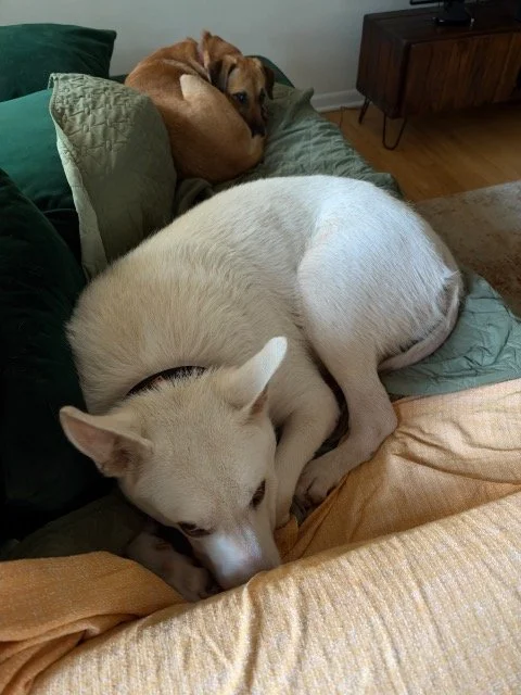 image5.jpeg