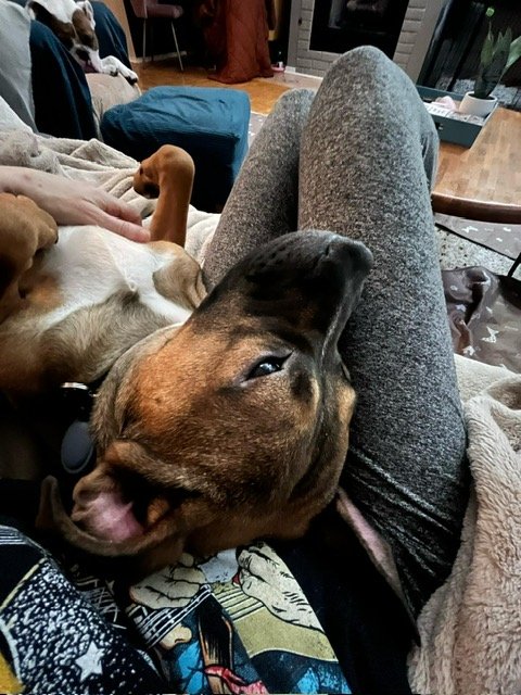 image11.jpeg
