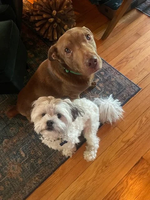 image13.jpeg