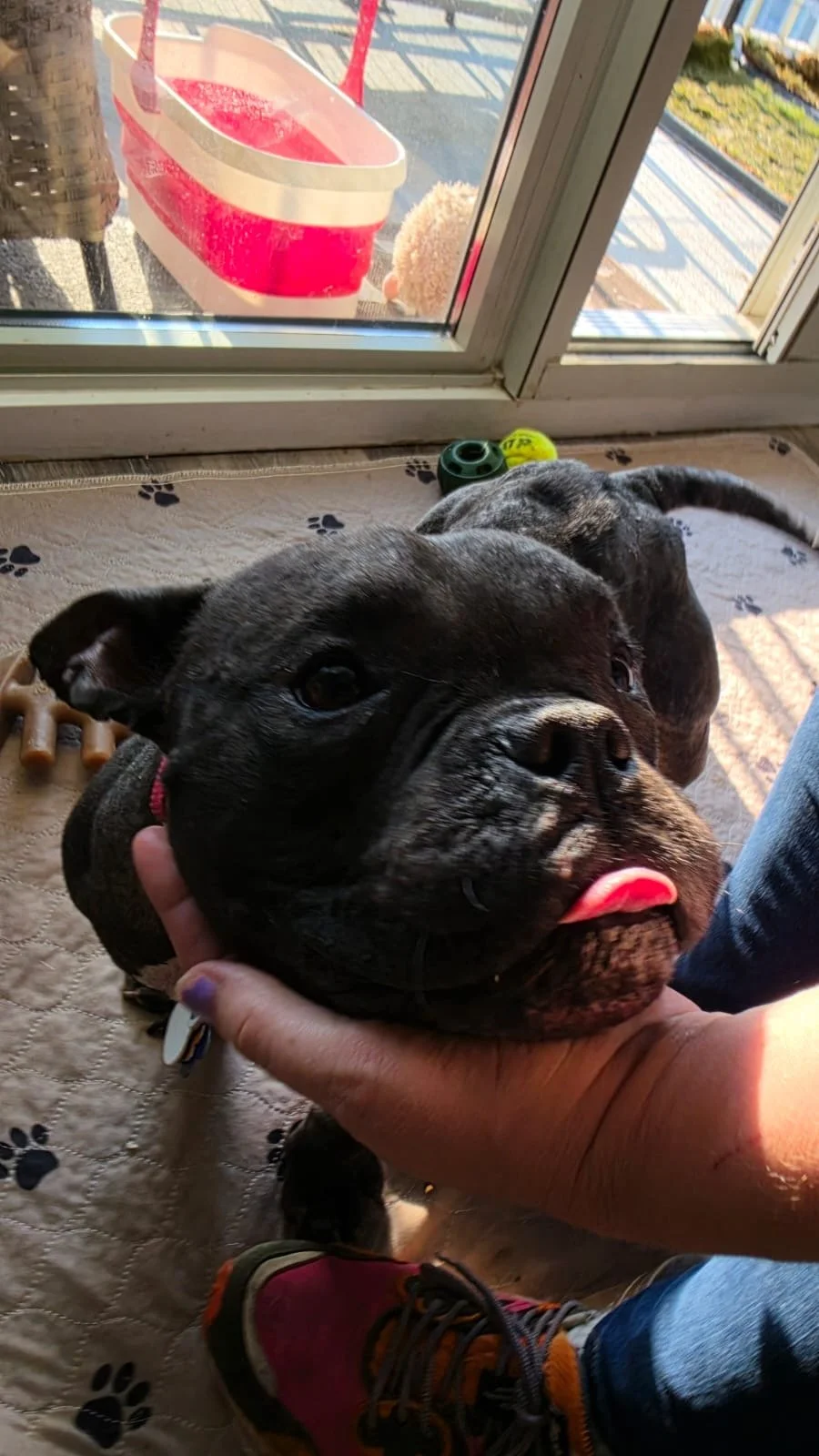 image1.jpeg