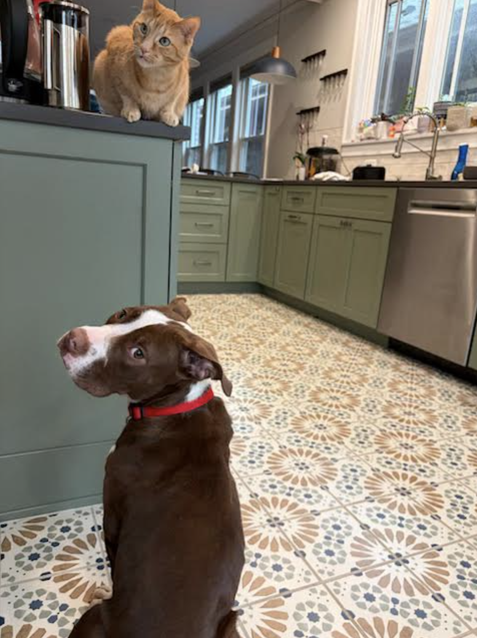 Screen Shot 2026-04-20 at 6.54.53 PM.png