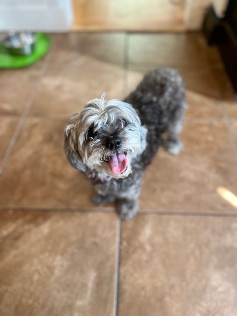 image1.jpeg