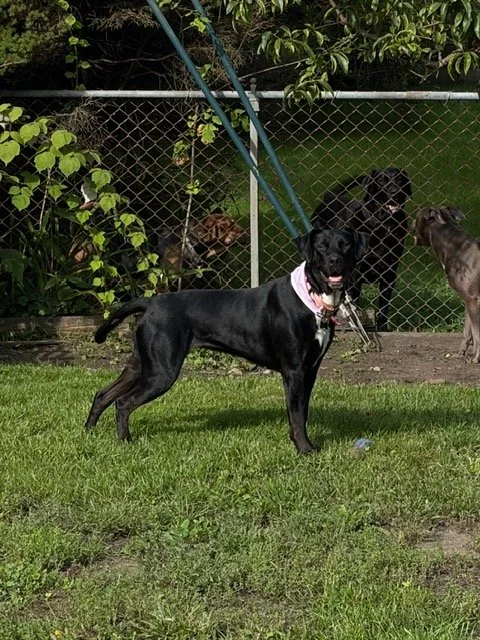 image1.jpeg