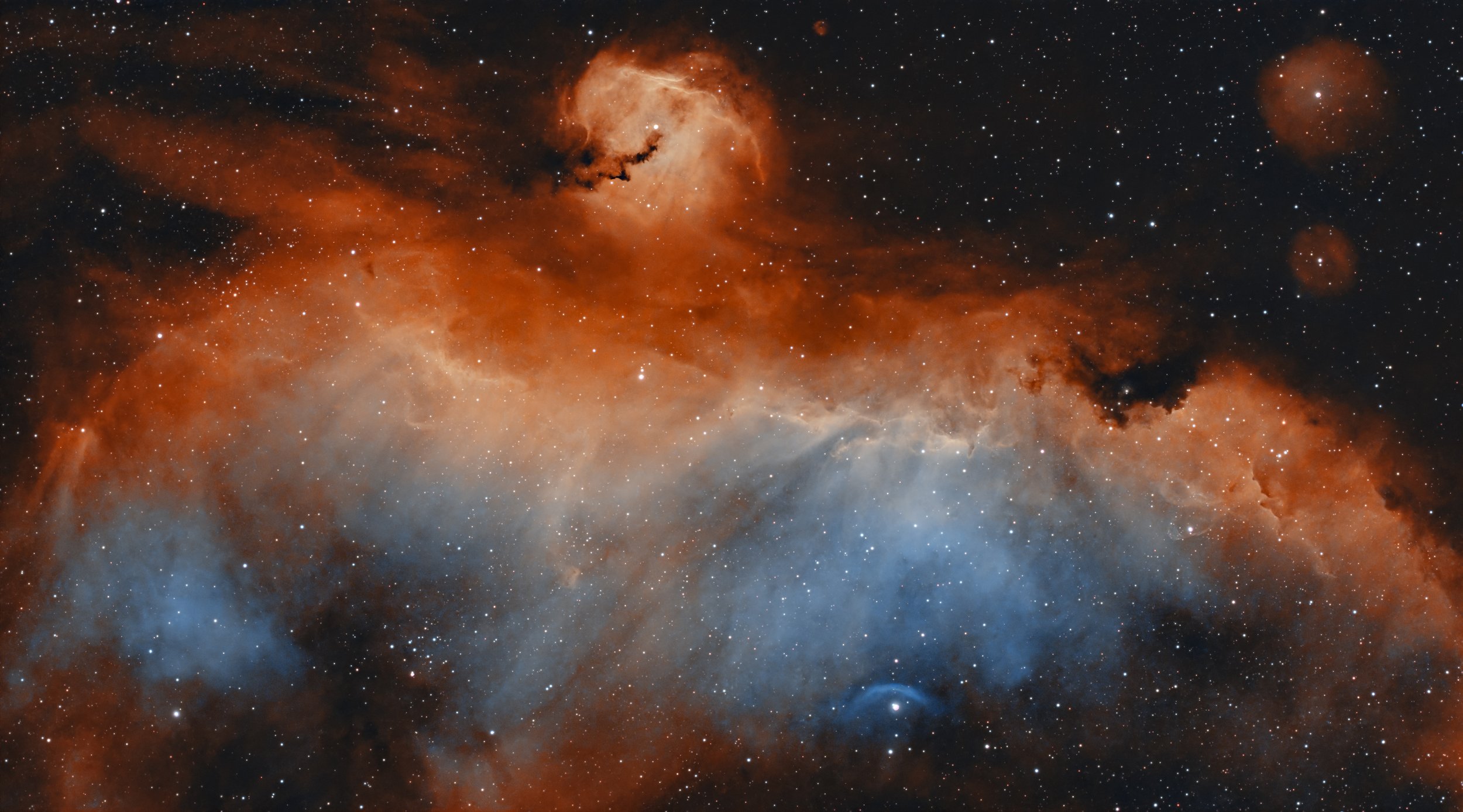 IC 2177 - The Seagull Nebula