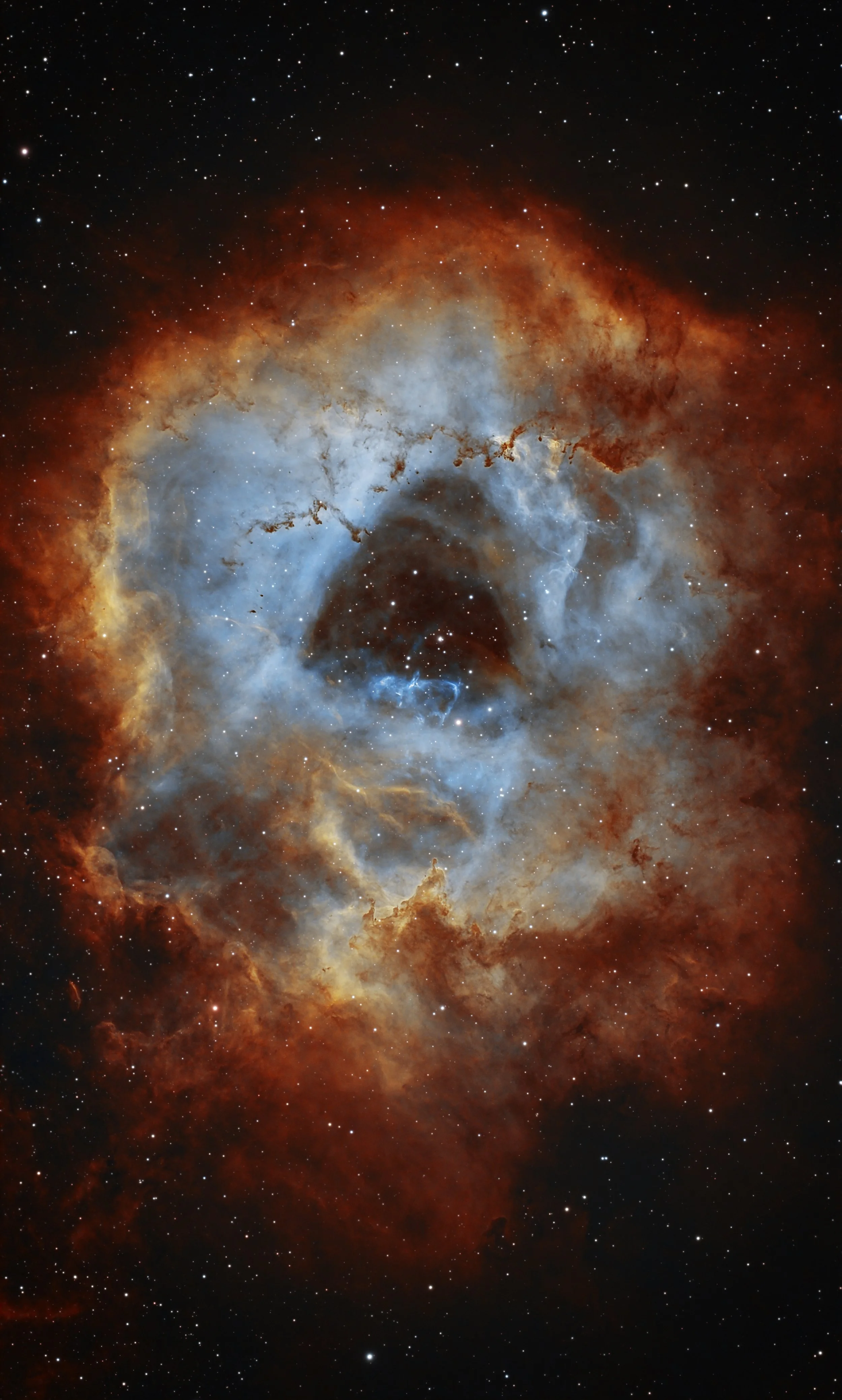 Caldwell 49 - The Rosette Nebula