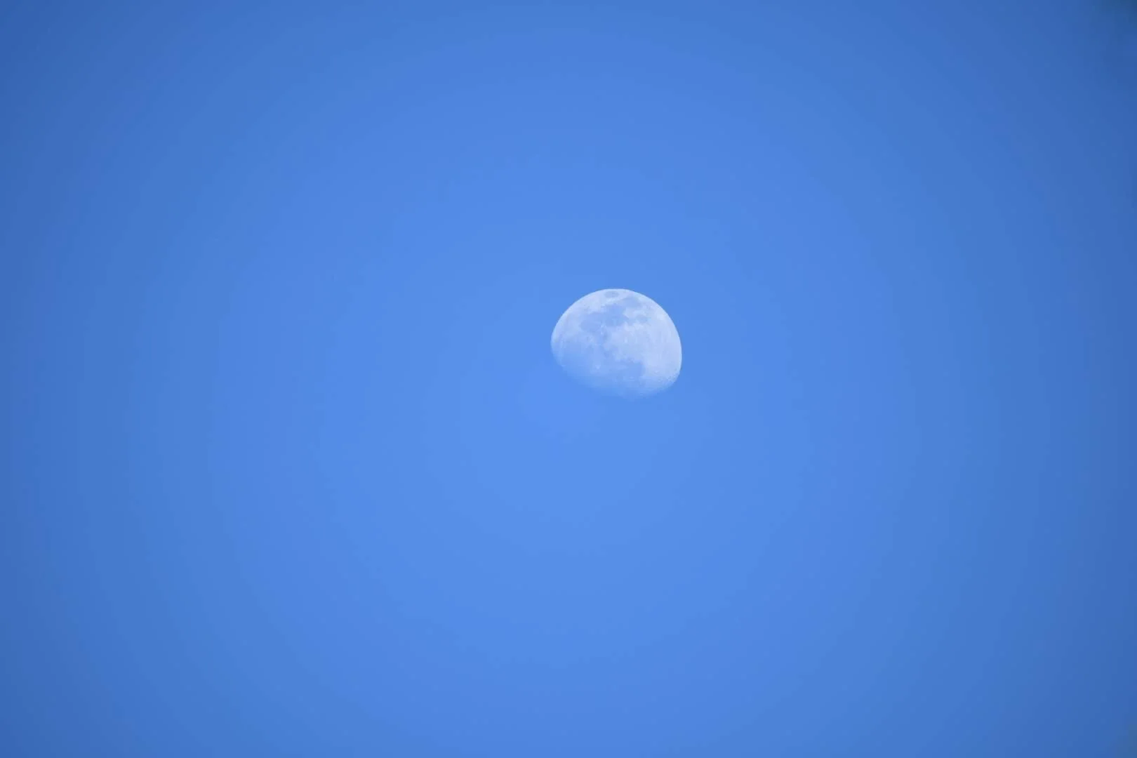 DSC_0004.JPG