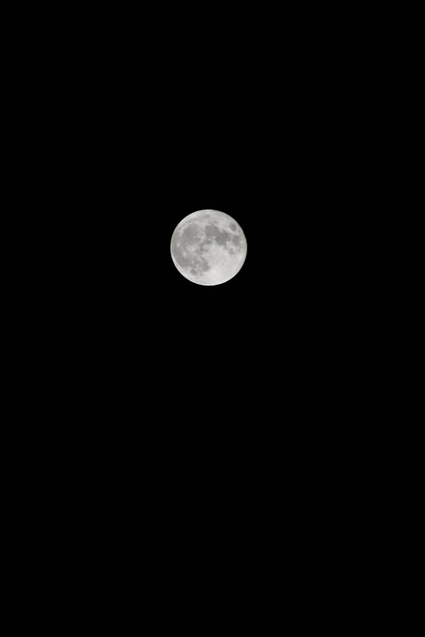 DSC_1318.JPG