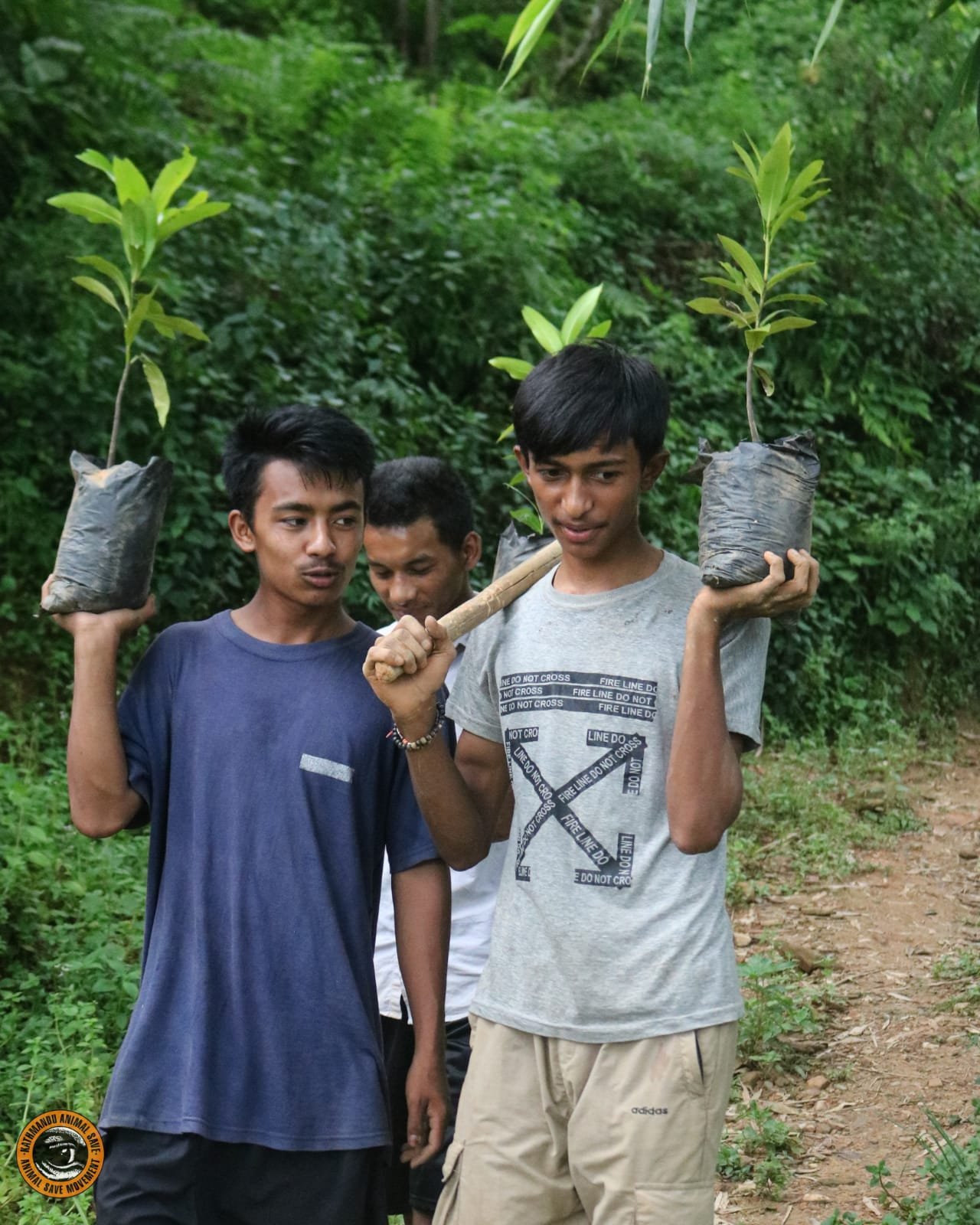 planting trees to offset carbon footprint