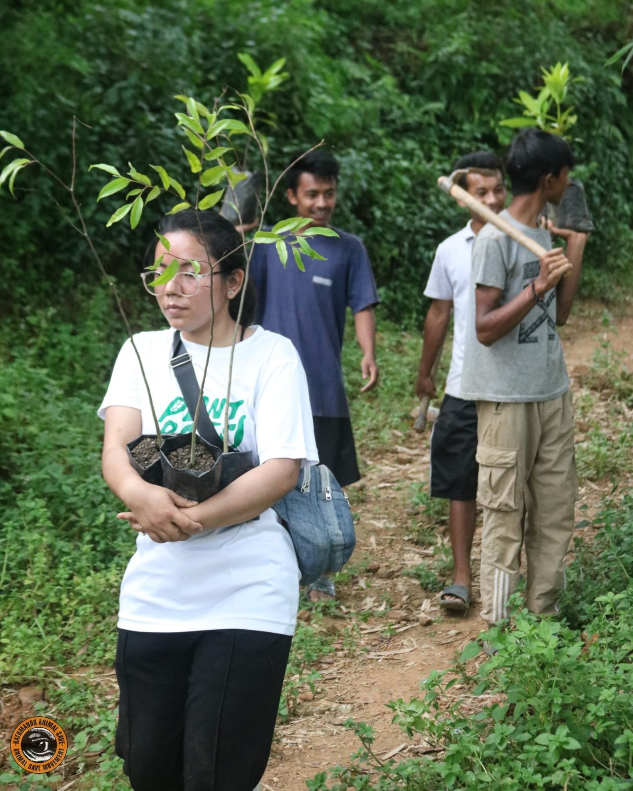 tree planting to offset carbon emissions