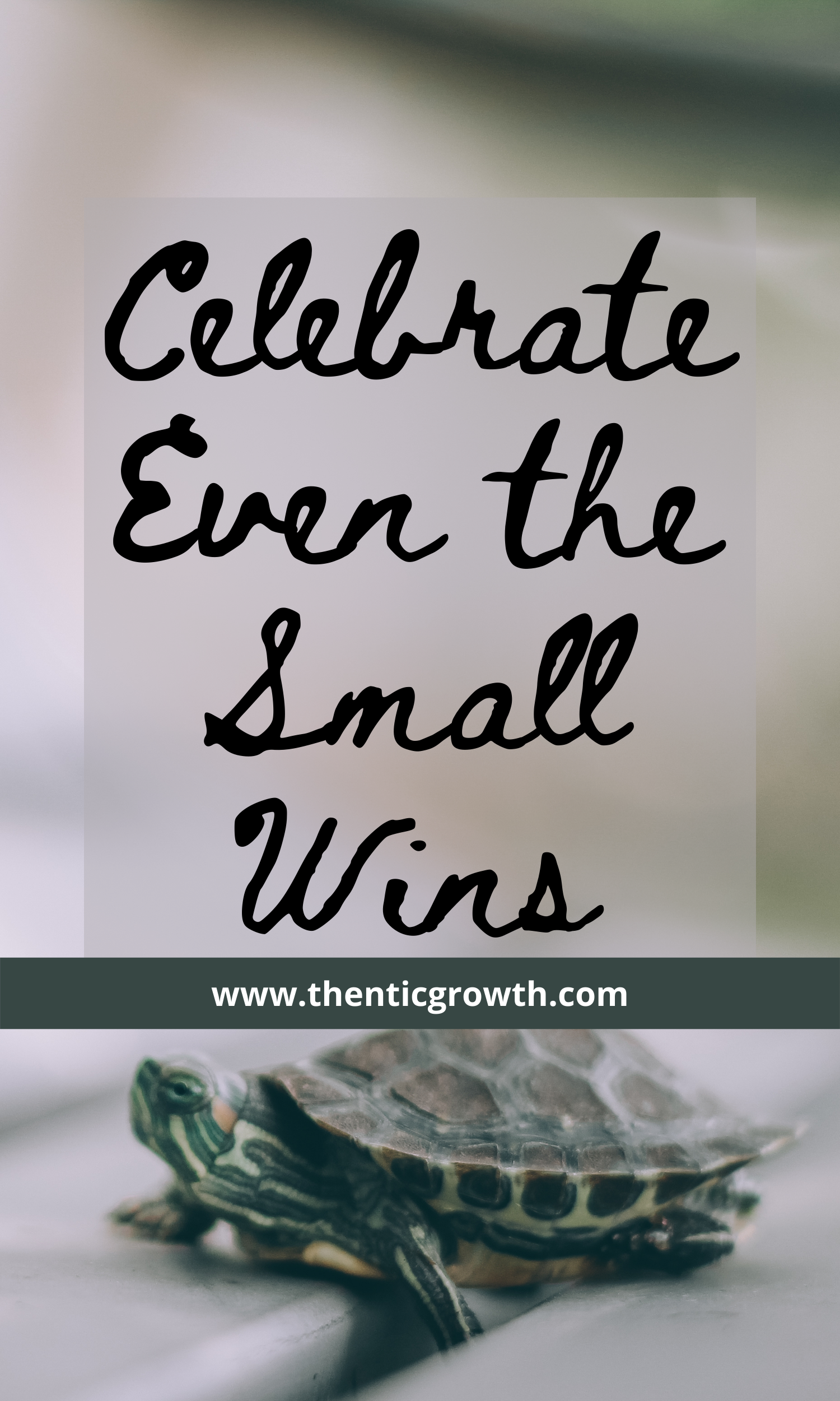 Don't Forget to Celebrate Even the Small Things