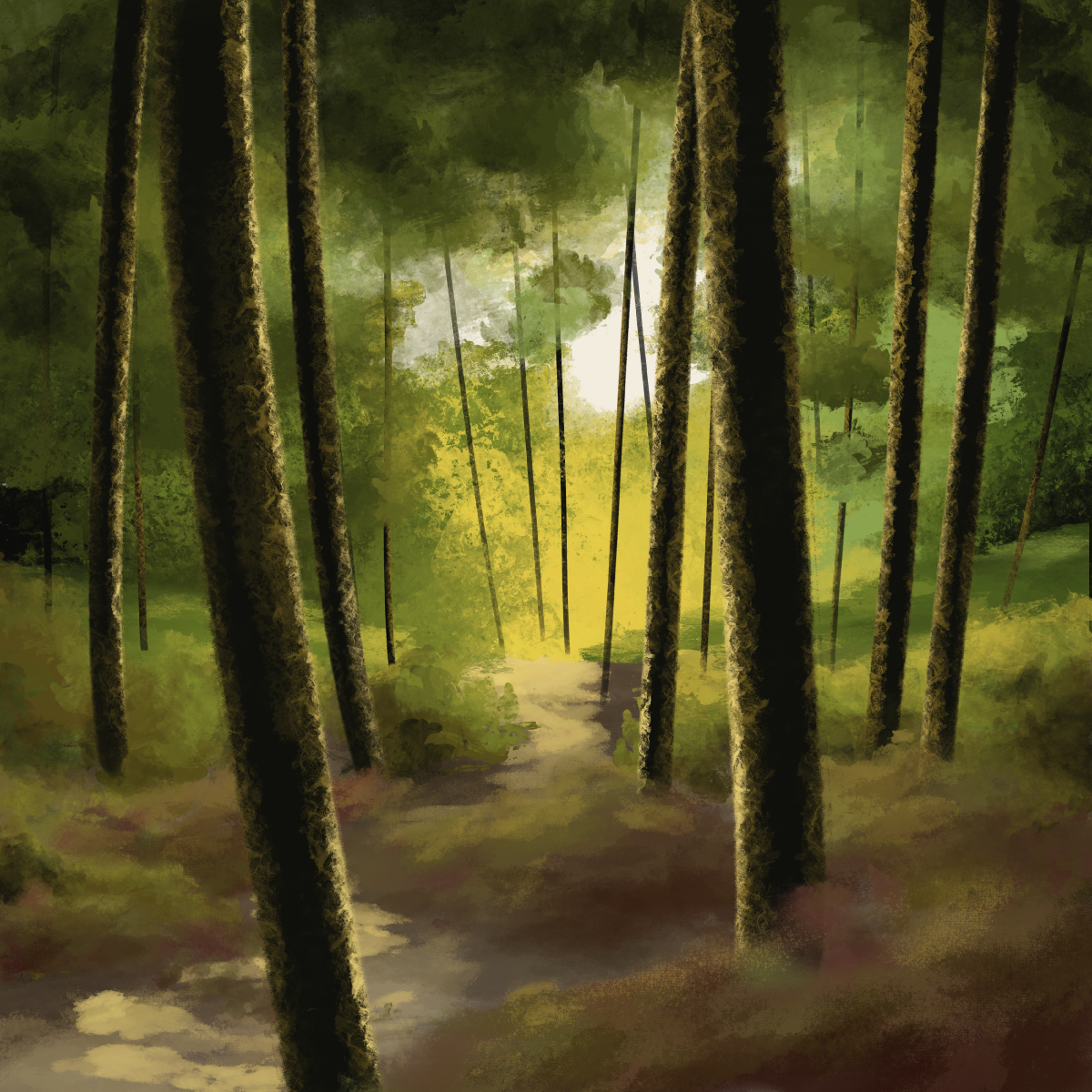 Afternoon Woods