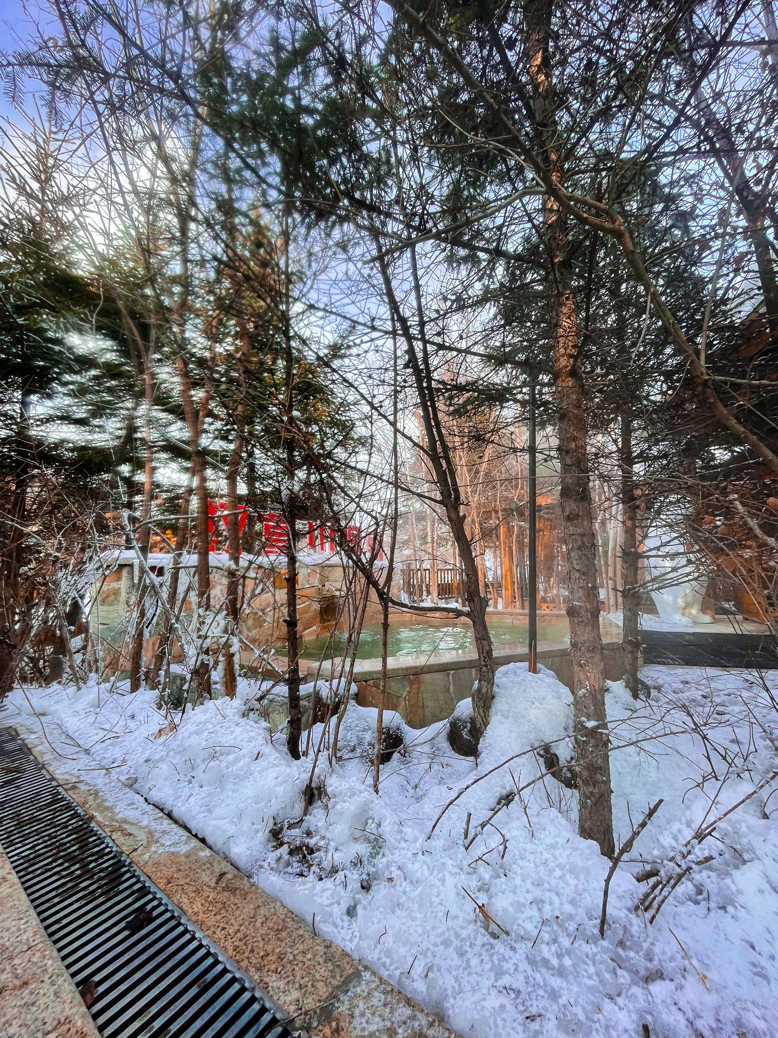 IMG_6384.jpg