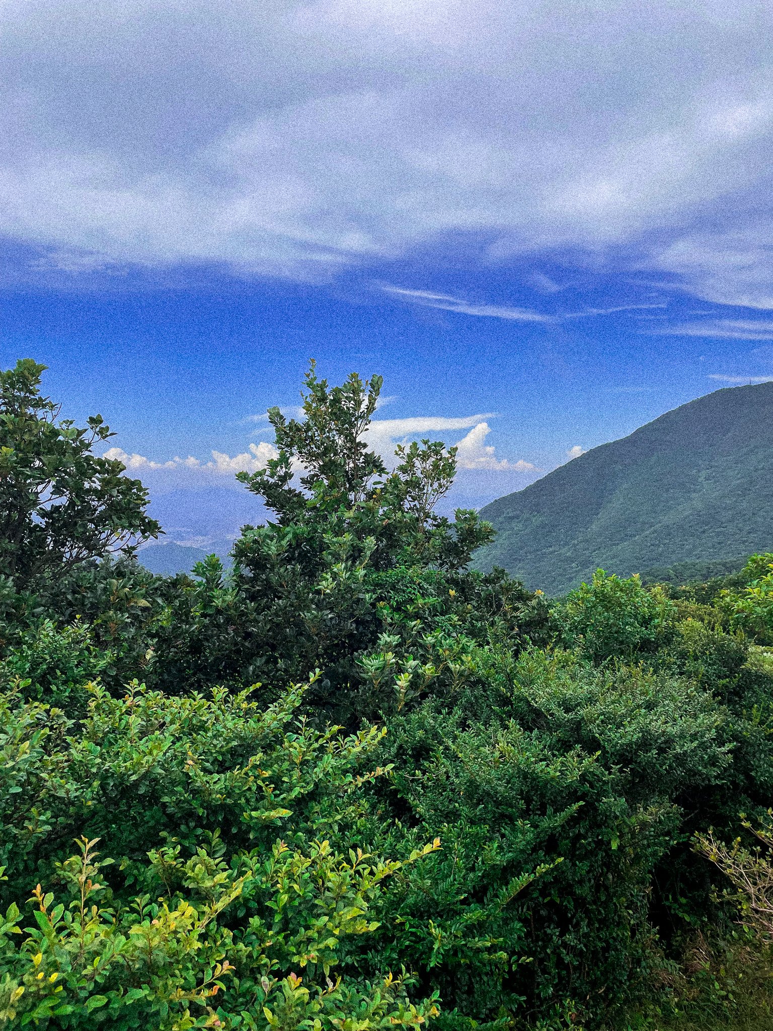 IMG_3596.jpg