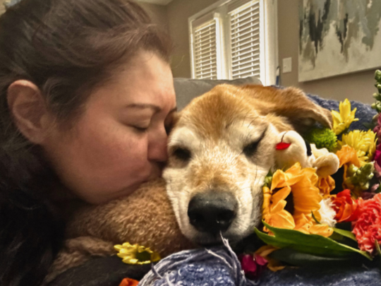 Saying%2BGoodbye%2Bto%2Bmy%2BSenior%2BDog.png