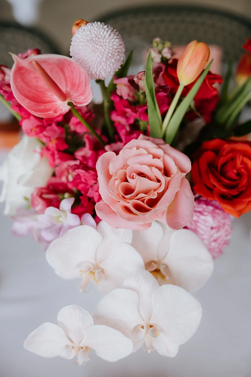 Rachael & Cameron-92_websize.jpg