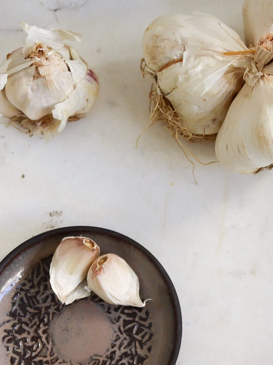 garlic-graters-20.jpg