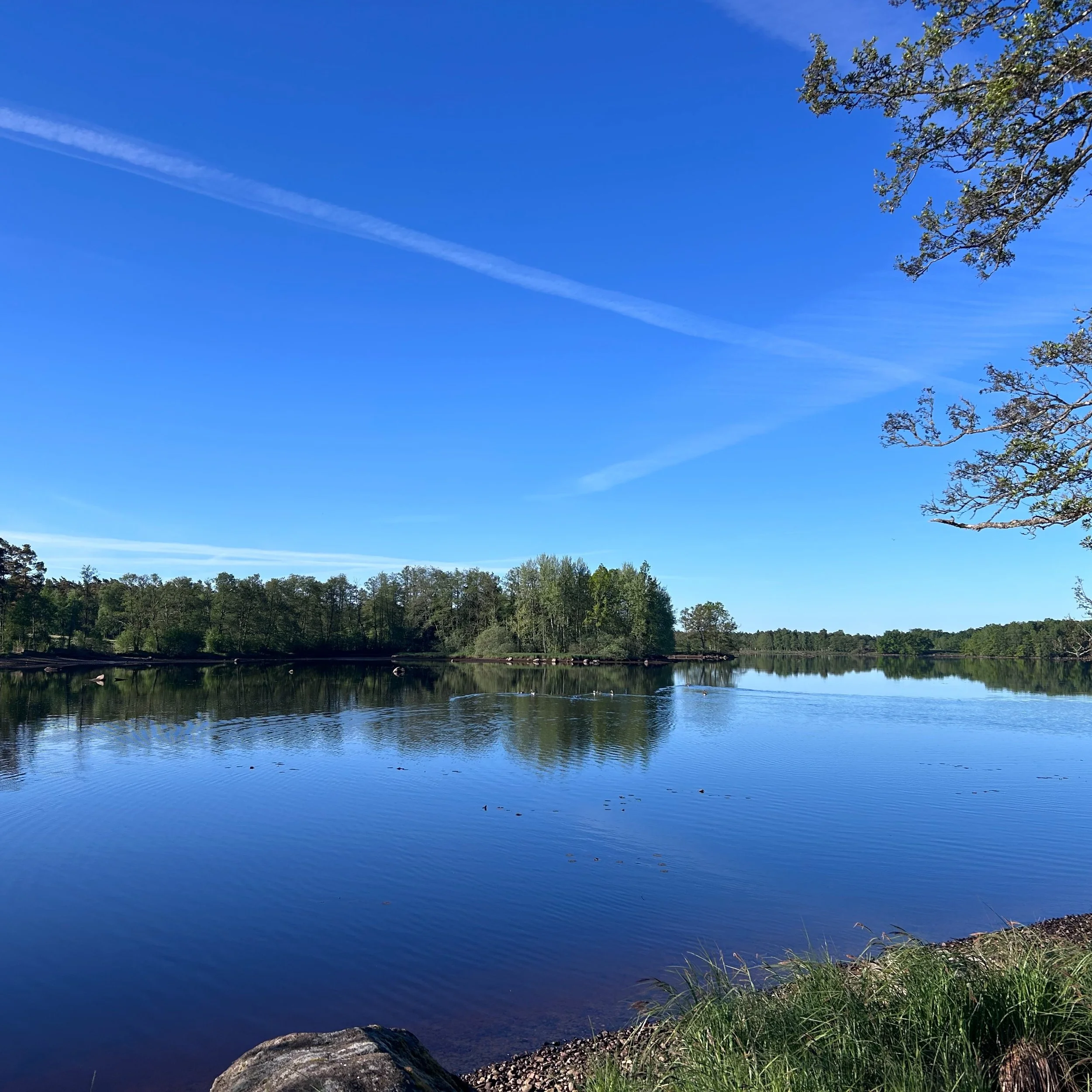 Det blir kanske inte s&aring; h&auml;r bl&aring; himmel imorgon, 5/6 men vi k&ouml;r AW kl 17 oavsett.

Vi ses 💚