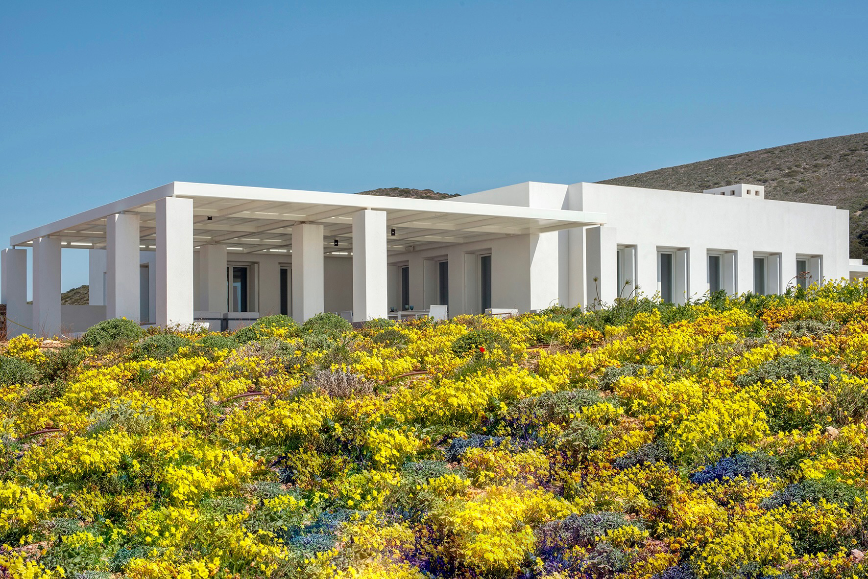 16 CST MB Spring.png