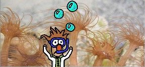 Beaker blending in with the anemones used as wet lab organisms for Bio 002