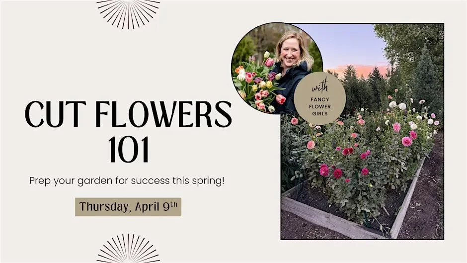 Cut Flowers 101