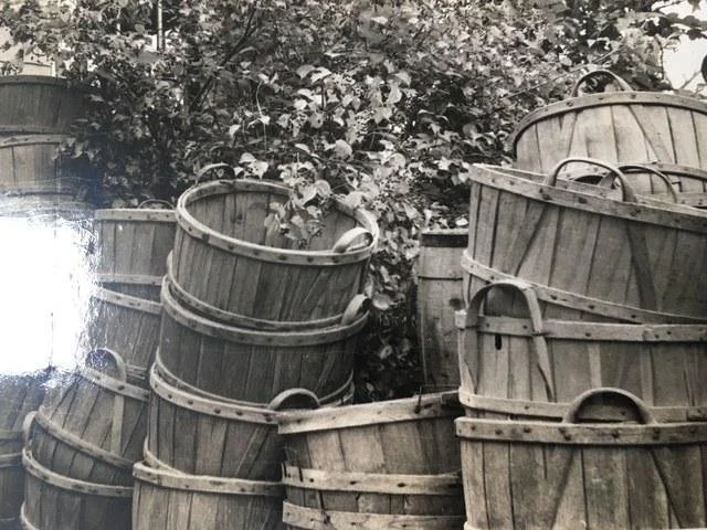 Cooper-made splint baskets — Joan Gregoire's photograph