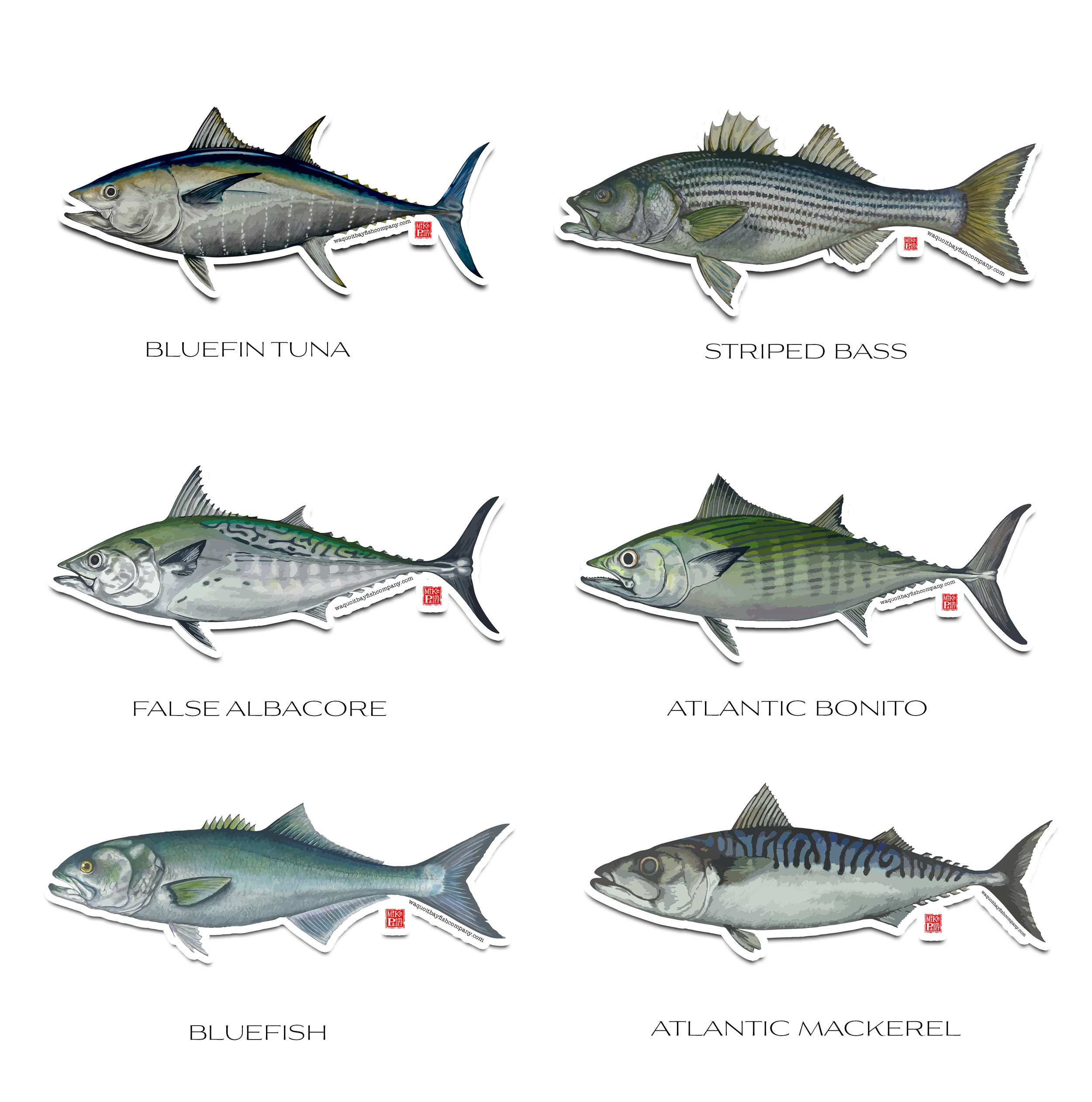 Fish3.png