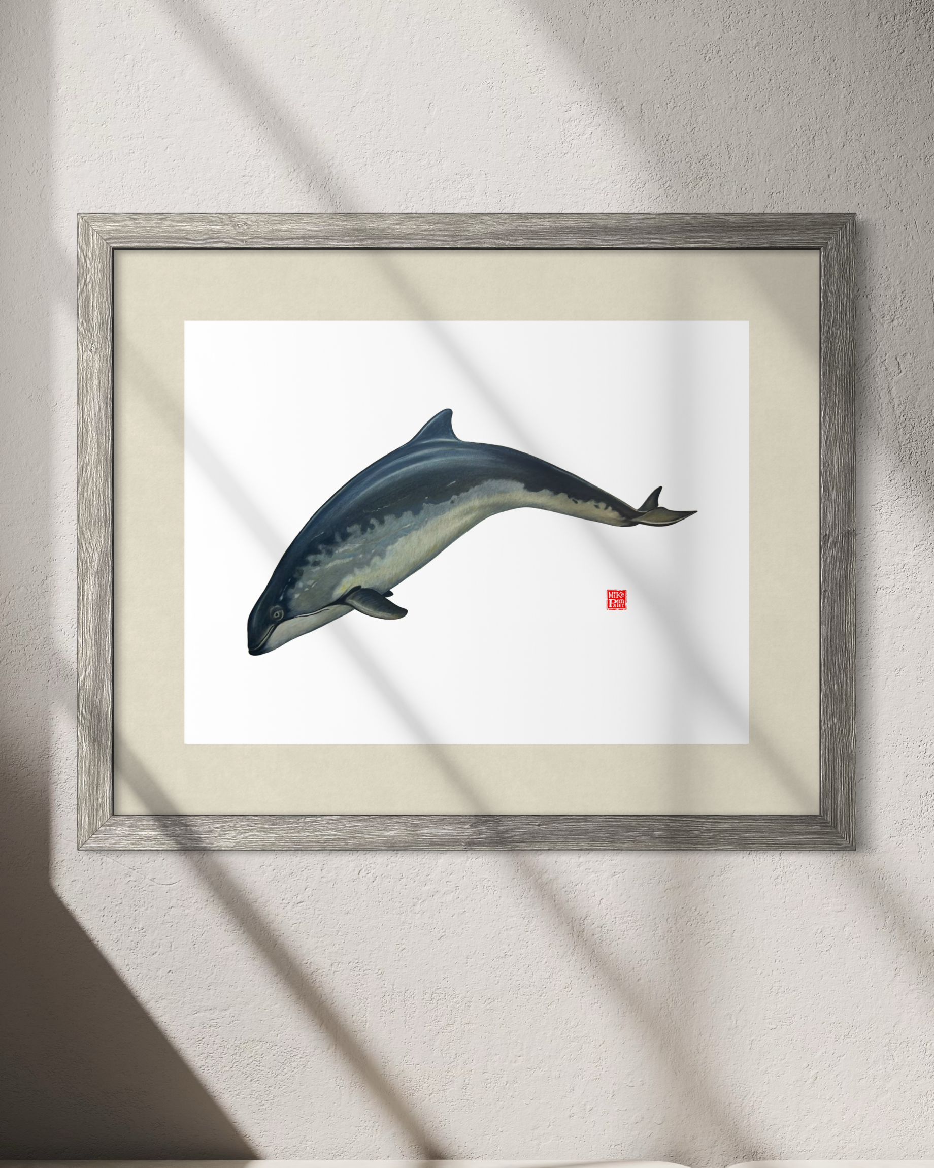 IMG_3562.png