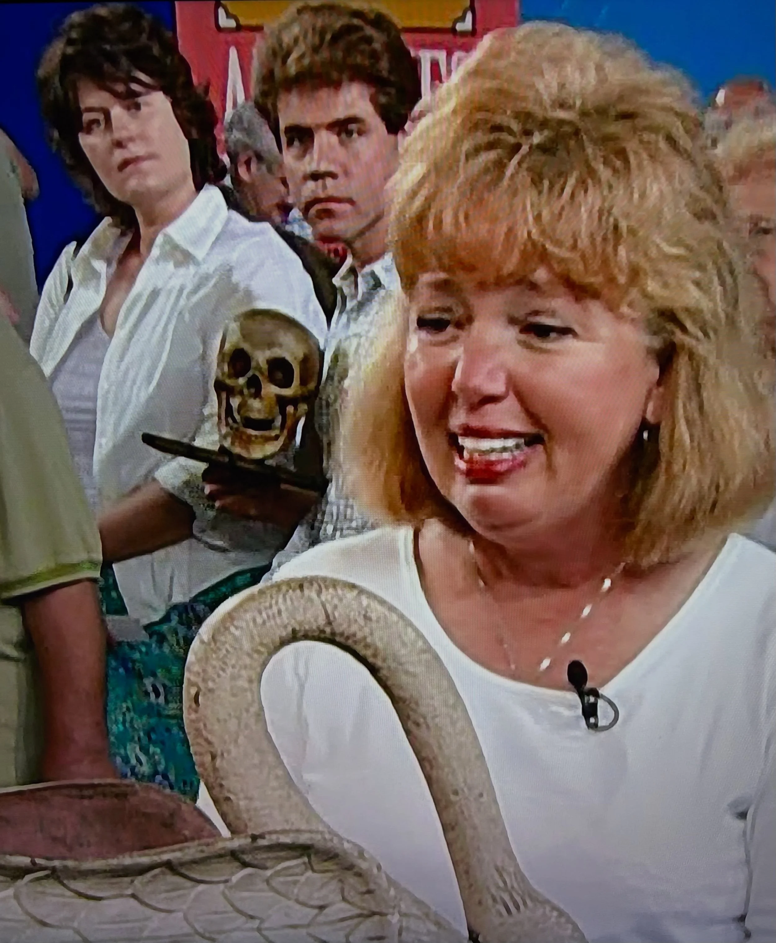 1990s Antiques Roadshow just hits different&hellip;

-
-
-
-
#1990s #antiques #antiquesroadshow #humanskull ????