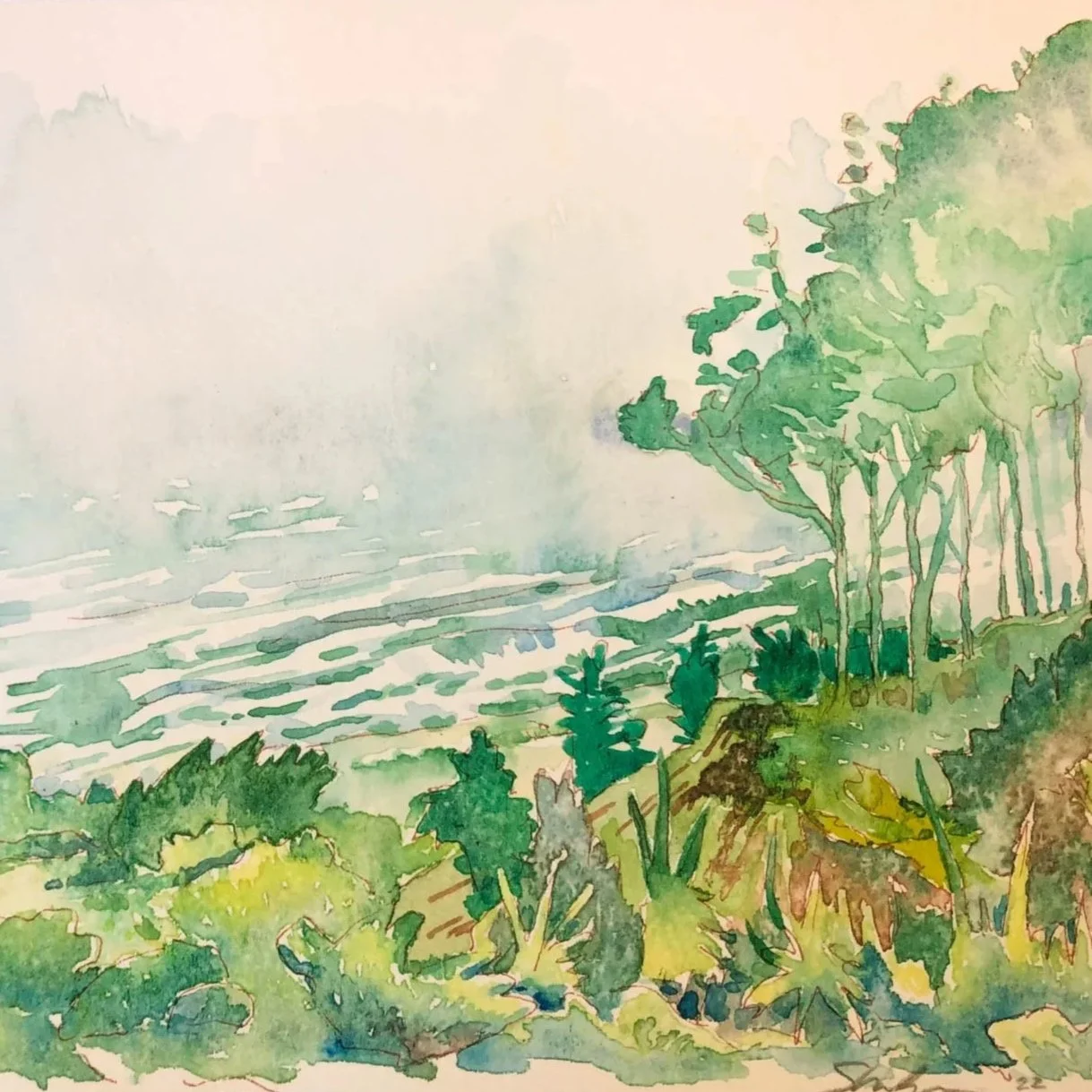 DRAWING & PAINTING NATURE CAMP, June 8-12, (Going into Grades 5-7), 9 a.m. - 3 p.m.