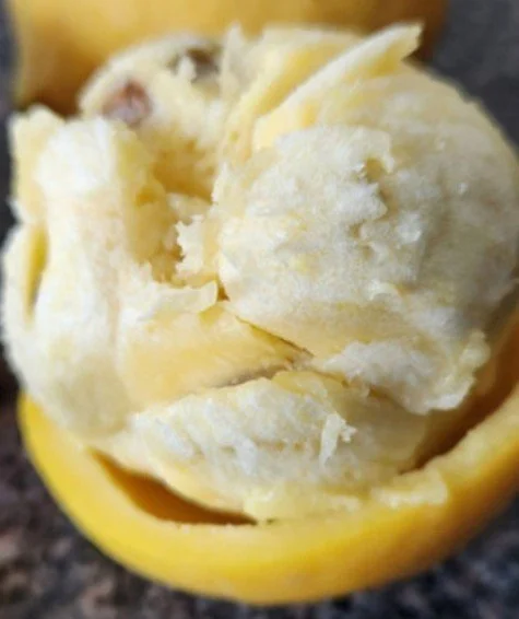Luc's Garcinia 4.jpg