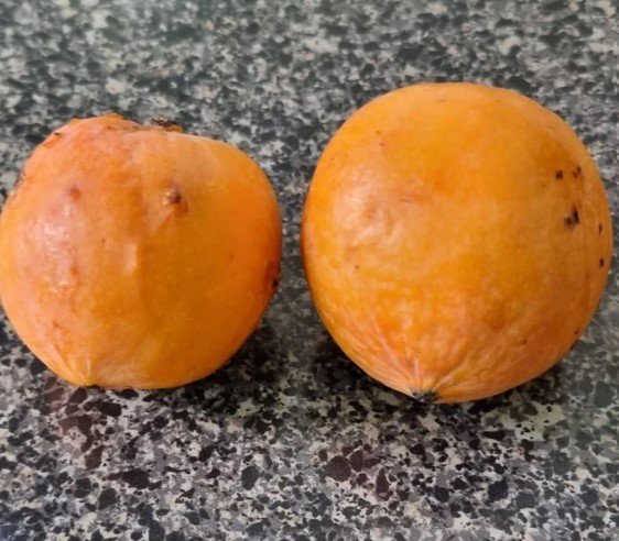 Luc's Garcinia.jpg