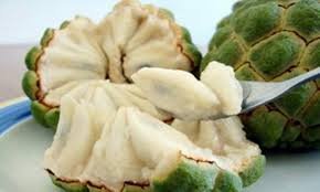 Pinha Sugar Apple Trees